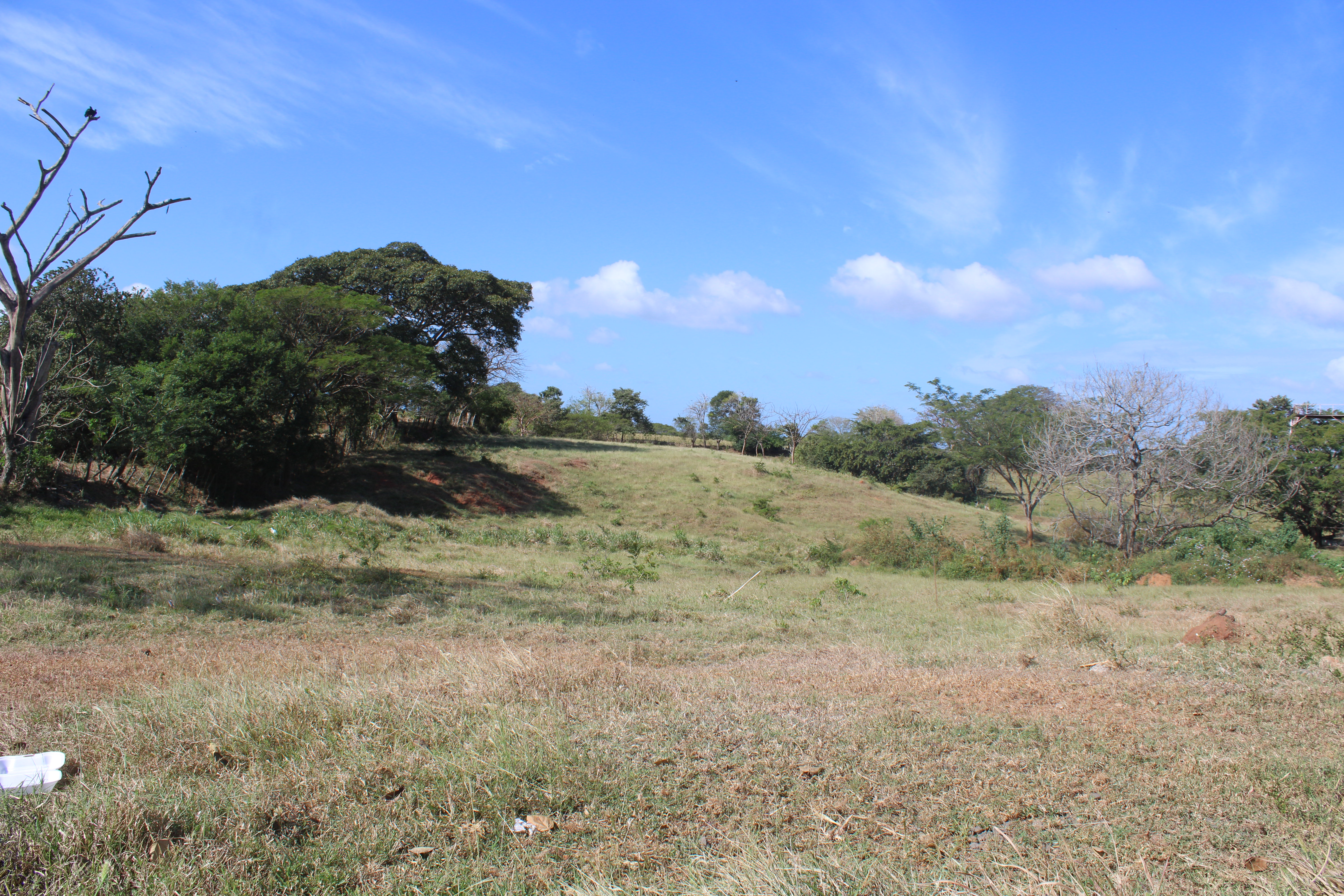 Terreno en Los Cuatro Caminos